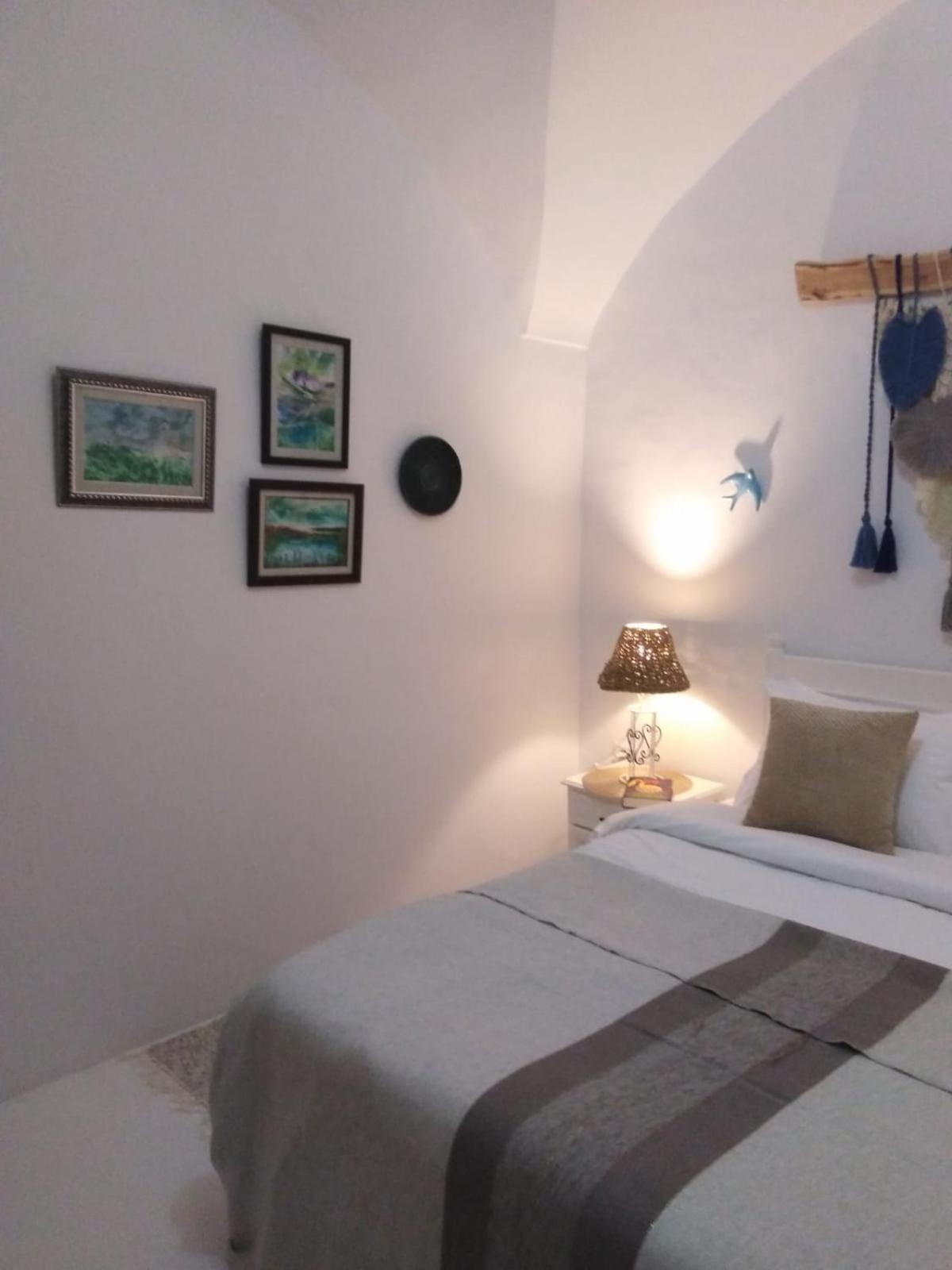 Dar Ali Medina Hammamet Chambres D'Hotes Dış mekan fotoğraf